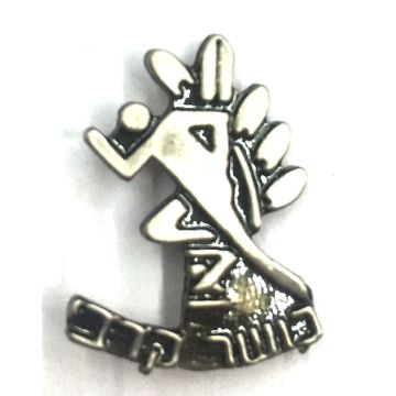 סיכת כושר קרבי ניקל